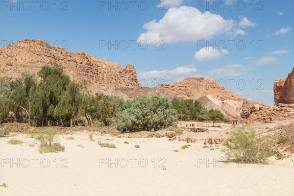 Oasis in desert, red mountains, rocks and blue sky. Egypt, the Sinai Peninsula, Dahab