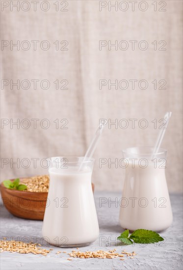 Organic non dairy oats milk in glass and wooden plate with oats seeds on a gray concrete background. Vegan healthy food concept, close up, side view, copy space