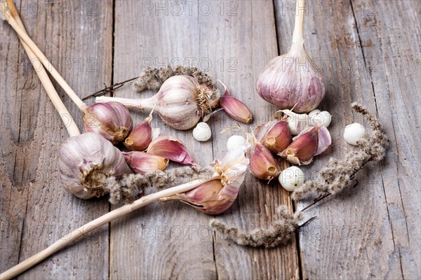 Fresh garlic with white berries on a rustic wooden background