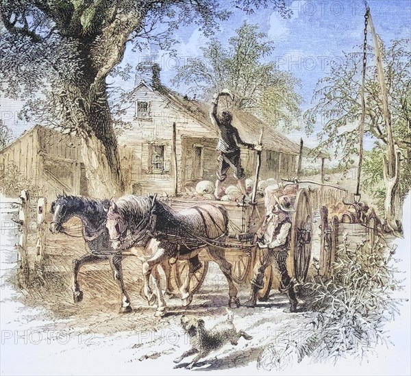 Homestead in Kansas in the 1870s. From American Pictures Drawn With Pen And Pencil by Rev Samuel Manning c. 1880, United States, America, Historic, digitally restored reproduction from a 19th century original, Record date not stated, North America