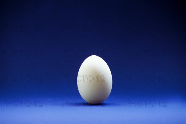 Closeup of one single henÂ´s egg, chicken egg