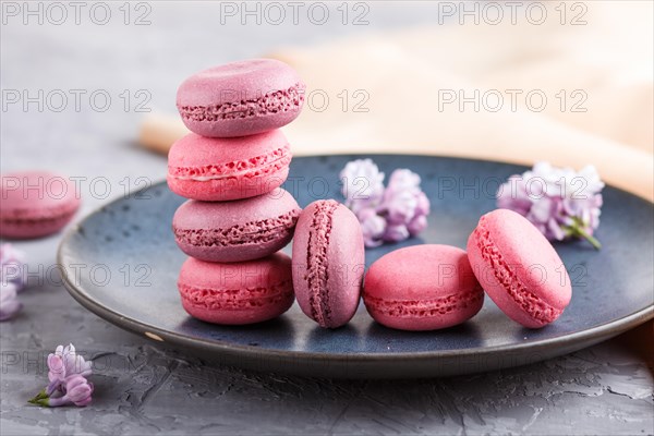 Purple and pink macaron or macaroon cakes with lilac flowers on blue ceramic plate on a gray concrete background. side view, close up