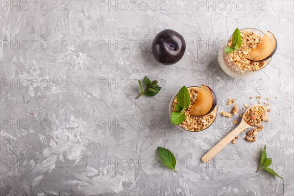 Yoghurt with plum, chia seeds and granola in a glass and wooden spoon on gray concrete background. top view, flat lay, copy space