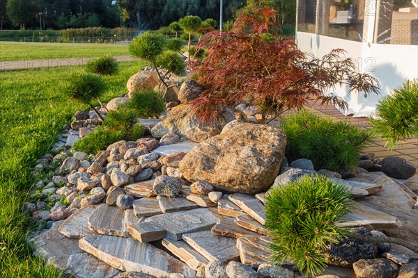 Elements of modern landscaping near restaurants. Druskininkai. Lithuania. Ornamental stone, conifers