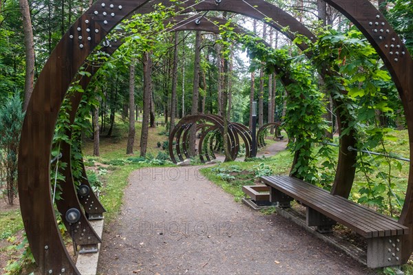 A forest park with large trees and creative benches and arches. Druskinikai, Lithuania, Europe