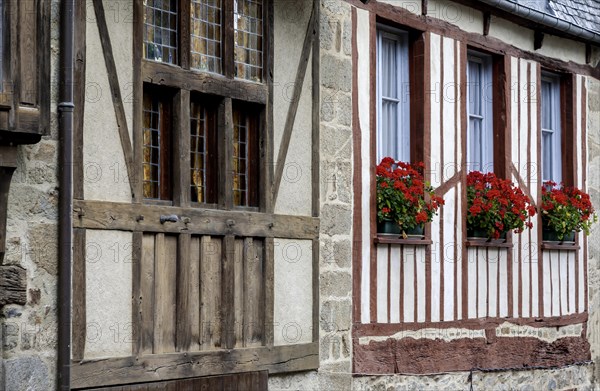 Half-timbered house, half-timbered house facade, historic old town, Dinan, Cotes d'Armor, Brittany, France, Europe