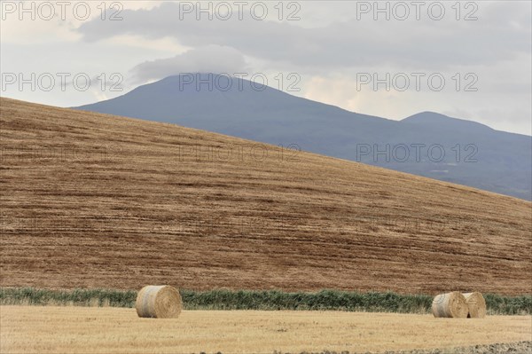 Harvested fields south of Siena, Crete Senesi, Tuscany, Italy, Europe