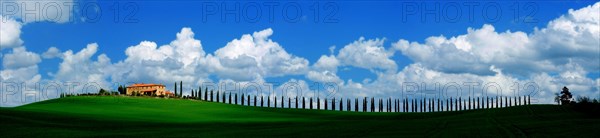 Farmhouse Val d'Orcia near Montalcino and cypresses panoramic, Tuscany, Italy, Europe