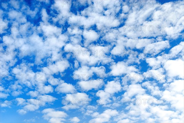 Mackerel Clouds (Altocumulus)