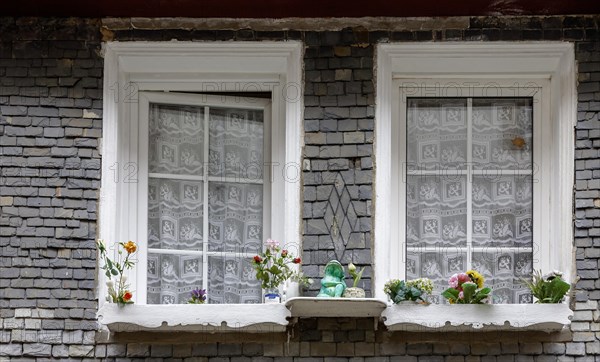 Slate-clad house facade, two windows and decoration made of artificial flowers, historic old town, Morlaix, Departements Finistere, Brittany, France, Europe