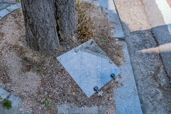 Square glass cabinet door discarded next to tree beside curb of road in South Korea