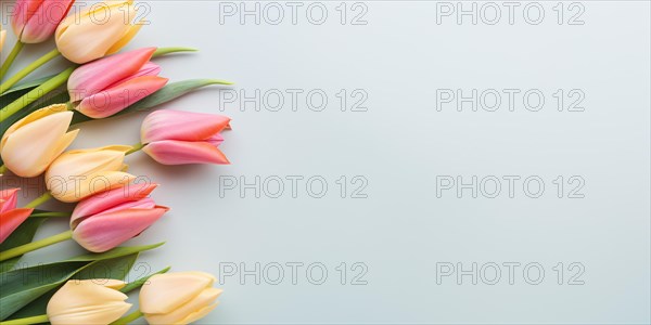 Yellow and pink tulip spring flowers on side of blue background. KI generiert, generiert AI generated