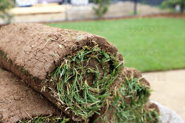 Gardener lays sod