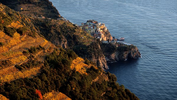 Manarola, Cinque Terre, Liguria, Italy, Europe