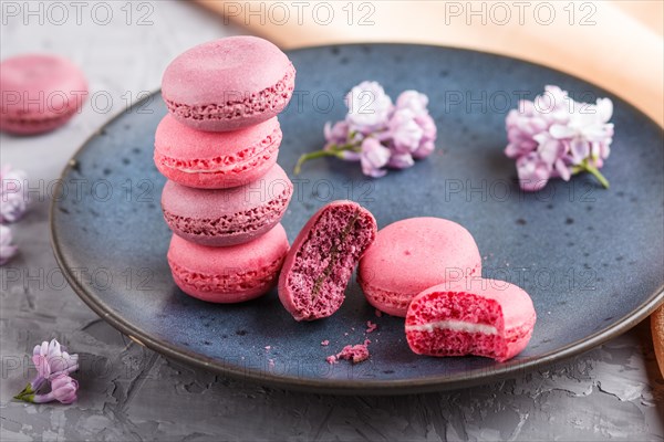 Purple and pink macaron or macaroon cakes with lilac flowers on blue ceramic plate on a gray concrete background. side view, close up, bitten off