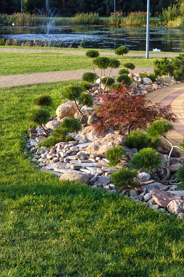 Elements of modern landscaping near restaurants. Druskininkai. Lithuania. Ornamental stone, conifers