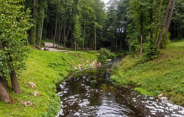 A forest park with large trees and creative benches and arches. Druskinikai, Lithuania, Europe