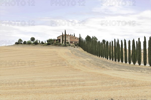 Harvested fields south of Siena, Crete Senesi, Tuscany, Italy, Europe