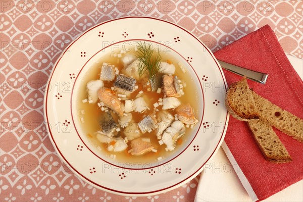 Swabian cuisine, Lake Constance fish pot, fish soup, healthy eating, broth, fillet of pike, char, pikeperch, fish leftovers, pieces of fish, herbs, dill, soup plate, soup spoon, sliced bread, food, studio, fish dish, cooking, typical Swabian, Germany, Europe