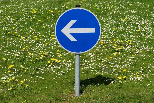 Sign go make a turn to the left Munich, Upper Bavaria, Germany, Europe