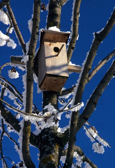 A simple wooden nesting box, winter, blue sky