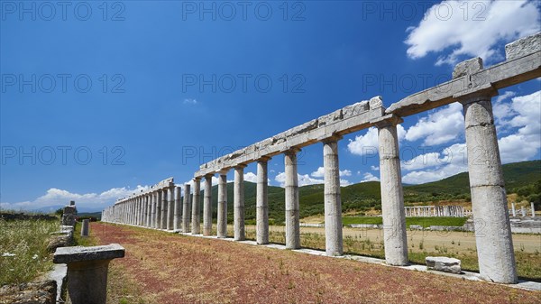Row of columns along a paved path in an ancient archaeological site, Ancient Stadium, Archaeological site, Ancient Messene, Capital of Messinia, Messini, Peloponnese, Greece, Europe