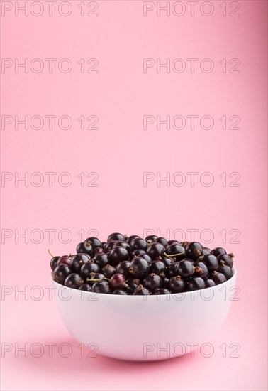 Fresh black currant in white bowl on pink background. side view, copy space