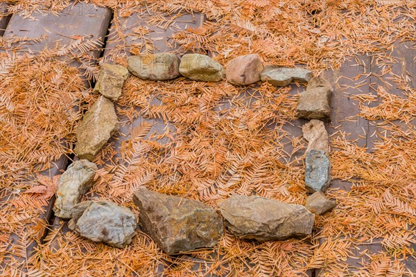 Rock frame on wooden picnic table covered with scattered leaves in South Korea