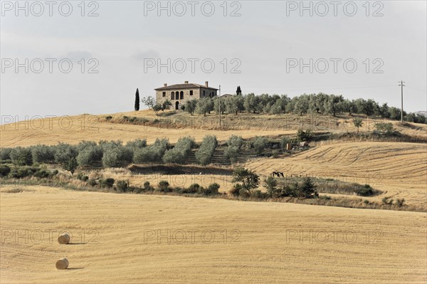 Harvested wheat fields, landscape south of Pienza, Tuscany, Italy, Europe