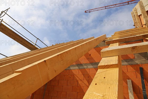 Timber construction and carpentry work on a new residential building