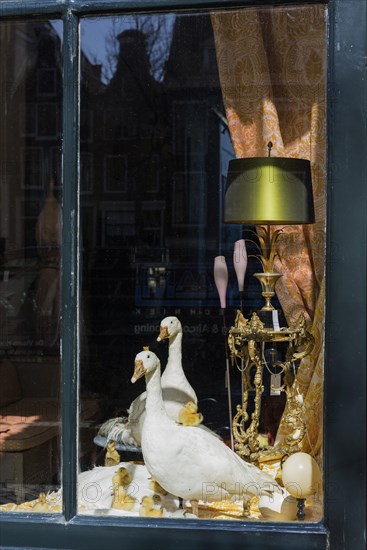 Shop window with geese, historical, market, junk, retail, shopping, buy, decoration, display, goods, window dressing, Amsterdam, Netherlands