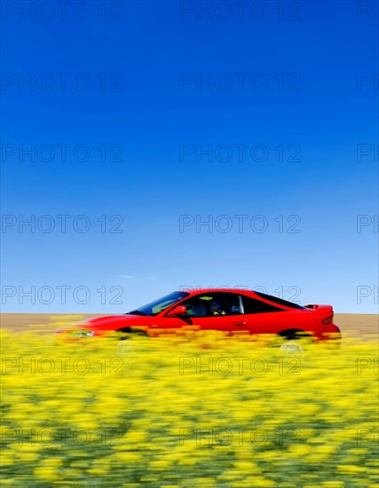 Red sports car on a small road through yellow oilseed fields (Brassica napus) Bavaria, Germany, Europe