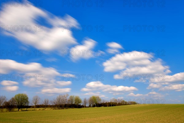 Drifting clouds, long term exposure, field, spring, blue sky, Munich, Bavaria, Germany, Europe