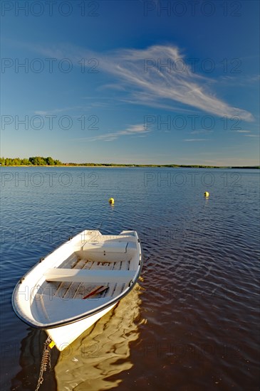 Small lake on a lake in the evening light, Kristinehamm, Goeta Canal, Goetaland, Sweden, Europe