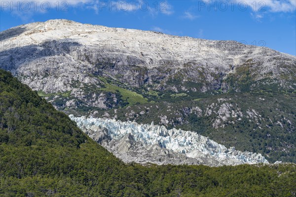 Tongue of the Pia Glacier between forests, Alberto de Agostini National Park, Avenue of the Glaciers, Chilean Arctic, Patagonia, Chile, South America