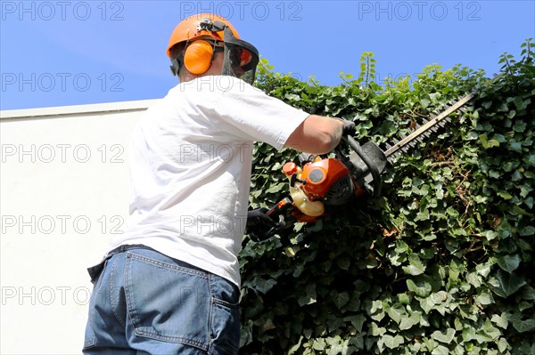 Man cutting hedges and greenery