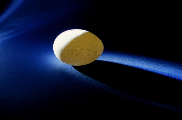 Closeup of one single henÂ´s egg, chicken egg