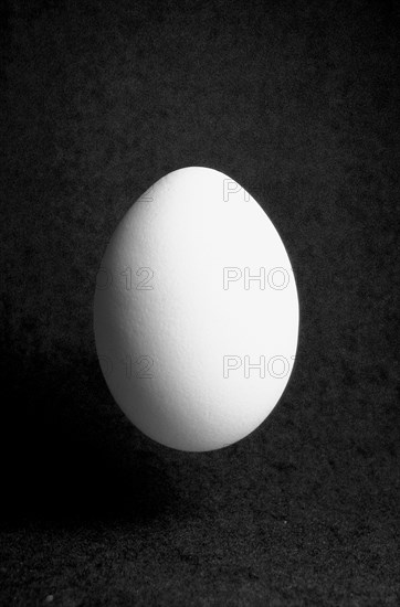 Closeup of one single henÂ´s egg, chicken egg