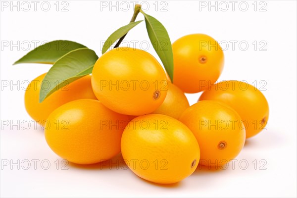Kumquat fruits on white background. KI generiert, generiert AI generated