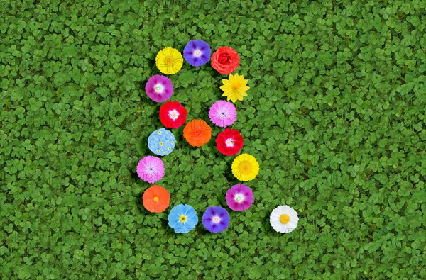 Number eight 8 eighth 8th written with colorful flowers on green clover background