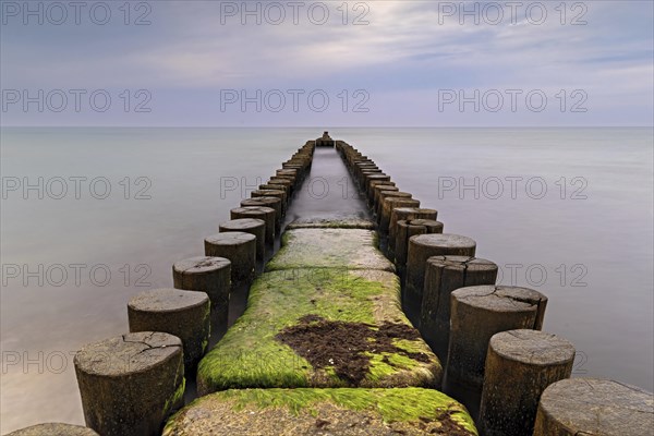 Double groyne with green overgrown stones in Ahrenshoop on the Darss