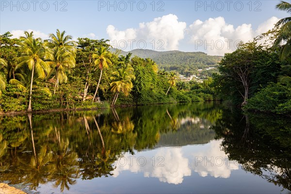 View of a river arm, a tropical mangrove landscape and the natural surroundings of Grande Anse Beach, Basse Terre, Guadeloupe, the French Antilles and the Caribbean, North America