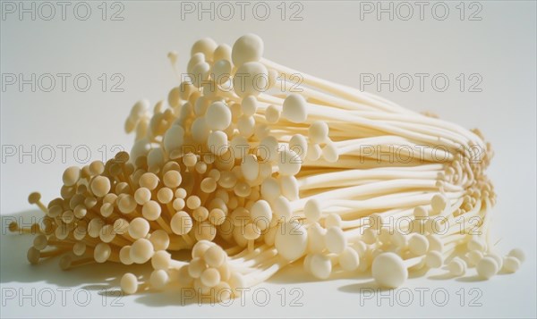 Golden needle mushroom or Enoki mushroom, Golden needle mushroom or Enoki mushroom. AI generated