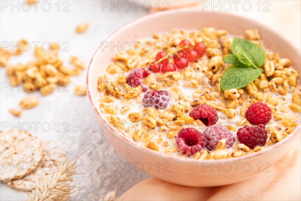 Wheat flakes porridge with milk, raspberry and currant in ceramic bowl on gray concrete background and orange linen textile. Side view, close up, selective focus