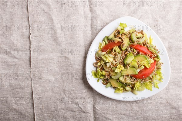 Vegetarian salad of celery, germinated rye, tomatoes and avocado on linen tablecloth, top view, copy space