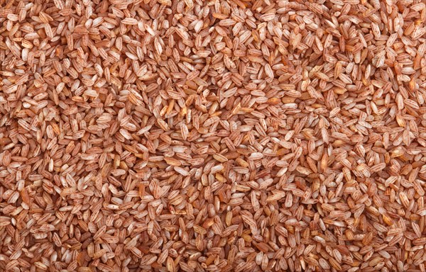 Texture of unpolished brown rice. Top view, flat lay, close up, macro. Natural background