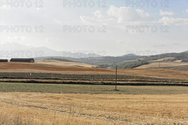 Harvested wheat field, landscape north of Sorano, Tuscany, Italy, Europe