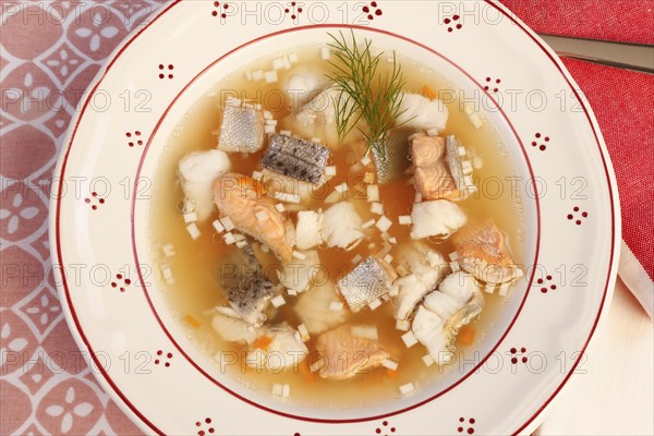 Swabian cuisine, Lake Constance fish pot, fish soup, healthy eating, broth, fillet of pike, char, pikeperch, fish leftovers, fish pieces, herbs, dill, soup plate, soup spoon, food, studio, fish dish, cooking, typical Swabian, Germany, Europe