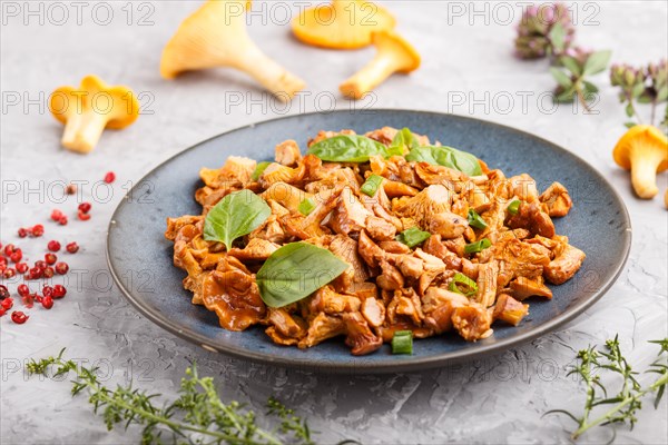 Fried chanterelle mushrooms with basil and spice herbs on gray concrete background. Side view, close up, selective focus