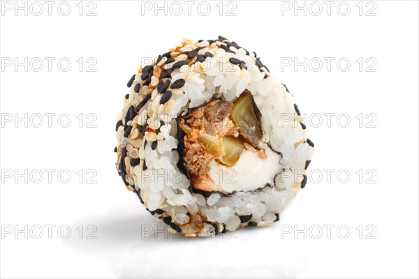 Japanese maki sushi rolls with salmon, sesame, cucumber isolated on white background. Side view, close up, selective focus